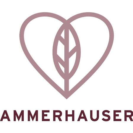 Hotel-Restaurant Ammerhauser Anthering Εξωτερικό φωτογραφία